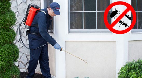 Çekerek Tahtakurusu İlaçlama böcek ilaçlama ve haşere kontrolü — ilaclama-tr.com